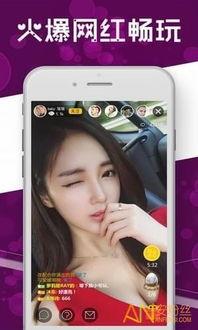 明星小视频 磁力链接,磁力链接背后的精彩瞬间