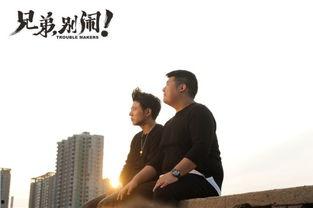 兄弟别闹电影在线观看,重温兄弟情深，笑中带泪的温馨故事