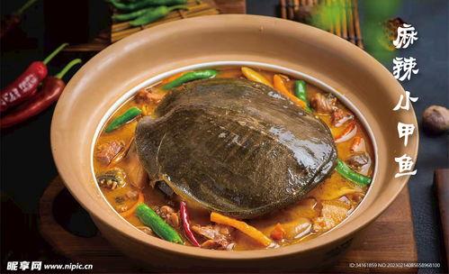 麻辣甲鱼爆料视频大全集,揭秘娱乐圈幕后真相