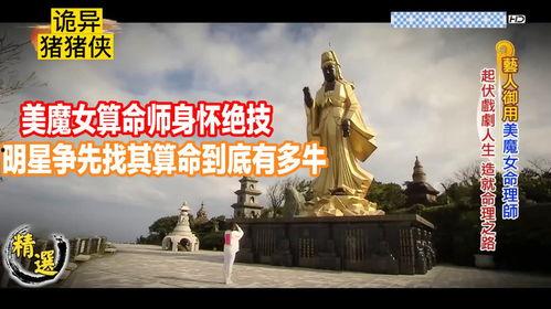 明星算命综艺节目,明星算命综艺背后的神秘力量