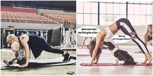 明星受刑文章,揭开娱乐圈背后的残酷真相