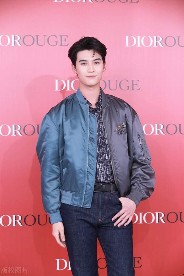 n打头的男明星,n打头男明星的闪耀风采