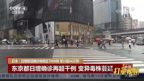 日本66县,地域特色与文化传承的瑰宝巡礼”