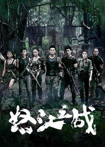 怒江之战免费观看下载,揭秘神秘战场的生死较量