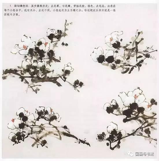 国画玉兰花的画法视频,笔触间绽放的优雅与清新