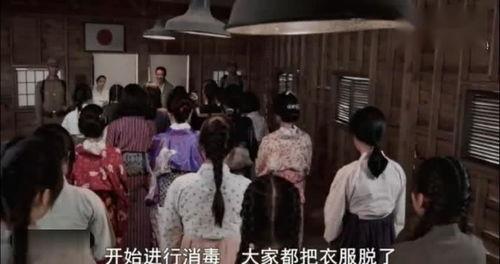 日本安慰夫电影,历史记忆与人性反思