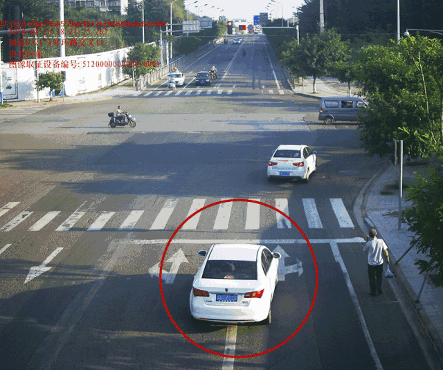 无码车牌番号动图,科技与隐私的边界探索