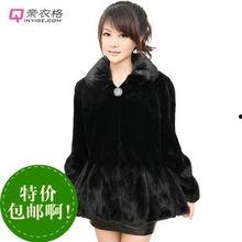 明星叶琳,璀璨星途，闪耀娱乐圈