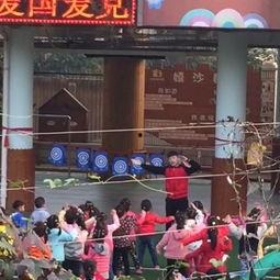 西瓜视频舞蹈视频,跟随热门舞蹈视频，解锁夏日律动魅力