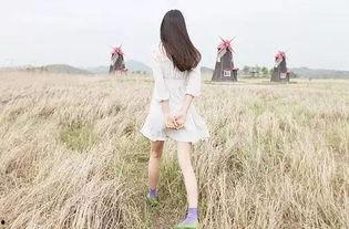 娱乐大爆料背影照片女,揭秘娱乐大爆料中的神秘美女