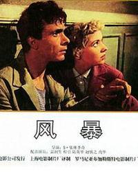 电影风暴在线播放,在线观影，激情风暴来袭！