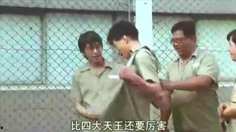 少年监狱之免费观看,揭秘免费观看的青春禁锢