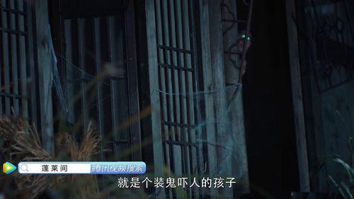 蓬莱间在哪里免费观看,免费观看攻略，揭秘热门剧集在线观看途径