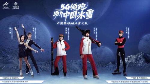 冰雪同行在线观看,共赴冰雪奇缘的视觉盛宴