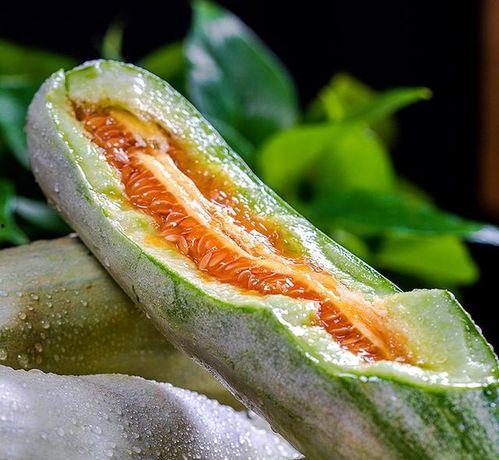 网红的瓜在线吃