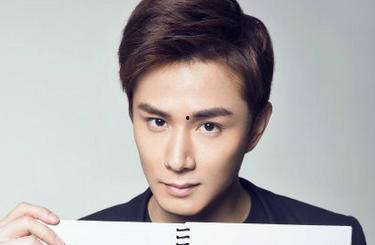 李什么希明星,星光璀璨的演艺之路