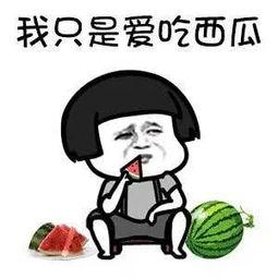 吃瓜了娱乐圈